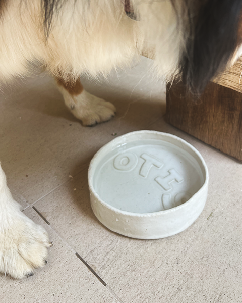 Make a Pet Bowl